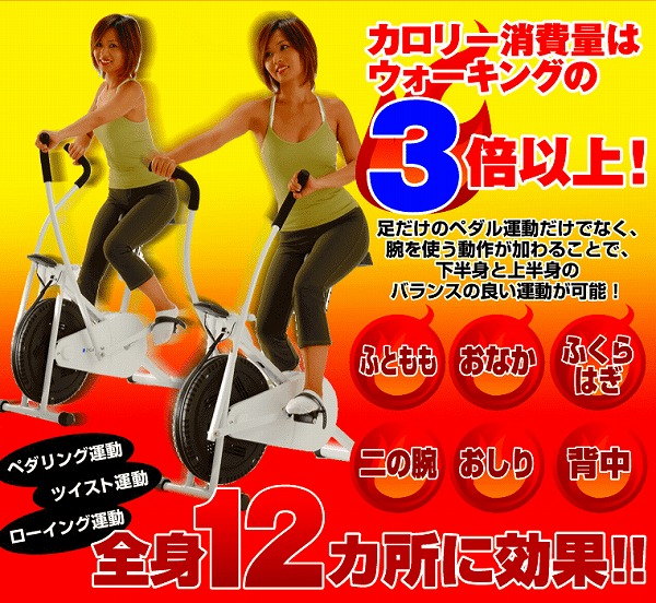 cycle (2).jpg(158858 byte)